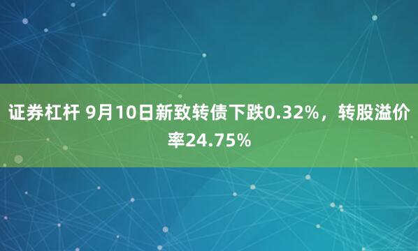 证券杠杆 9月10日新致转债下跌0.32%，转股溢价率24.75%